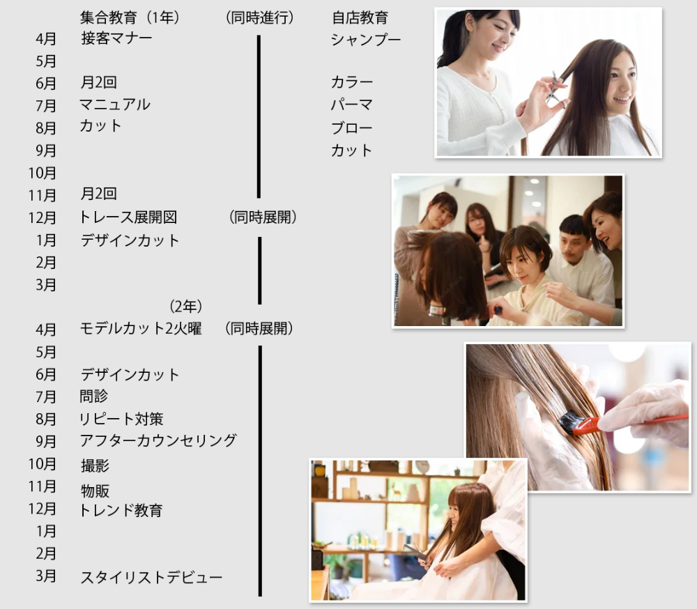 カリキュラム